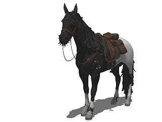 精品动物模型  马 (6)